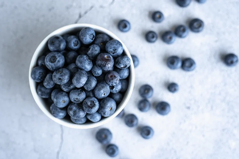 gesundes_wissen_immunsystem Blaubeeren