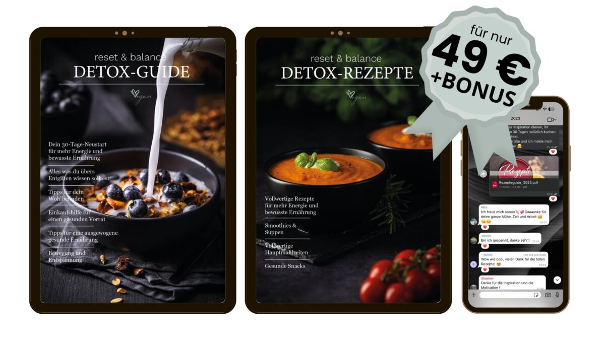 angebot bundle detox guide rezepteheft dezember bonus