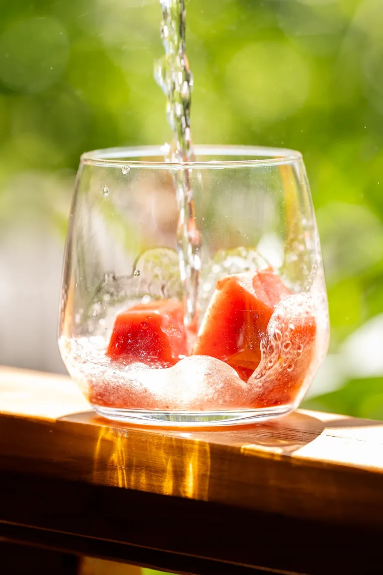 rezept-erdbeer-zitronen-limonade-zuckerfrei-eiswürfel Erdbeer-Zitronen-Limonade aus dem Eisfach